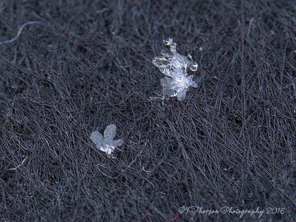 Snowflakes #1 12-14-2016.jpg