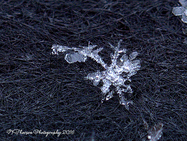 Snowflakes #2 12-14-2016.jpg