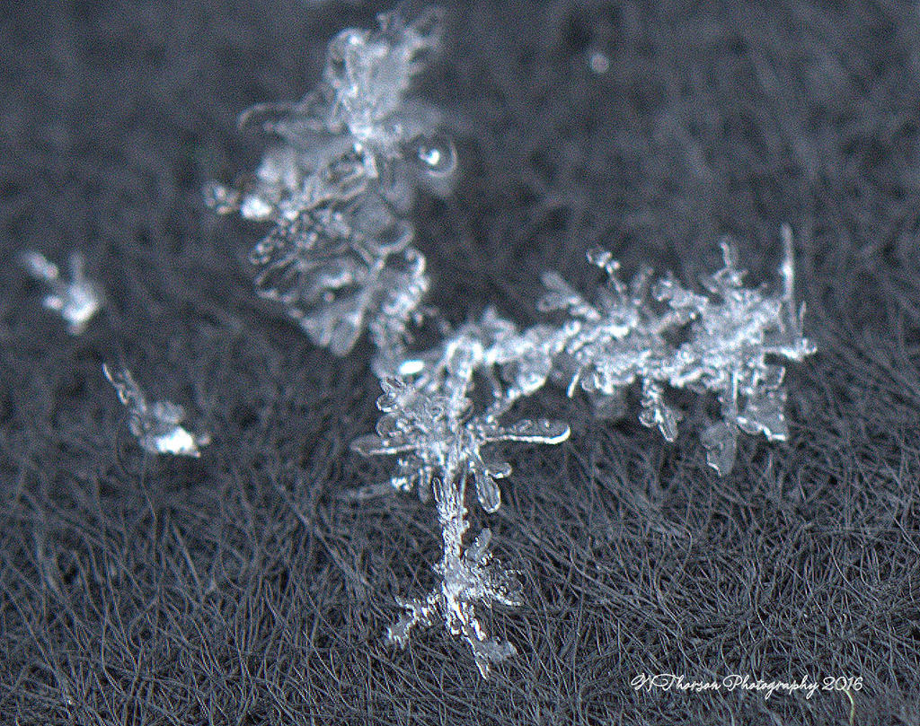 Snowflakes #3 12-14-2016.jpg