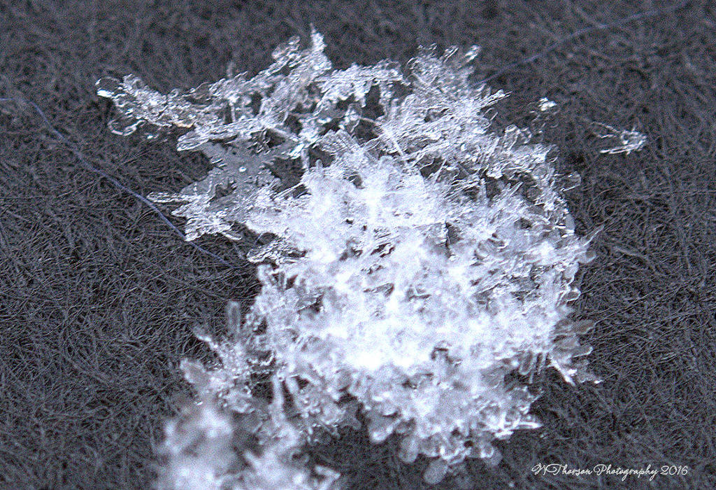 Snowflakes #4 12-14-2016.jpg