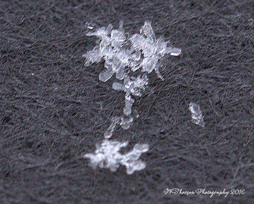 Snowflakes #5 12-14-2016.jpg