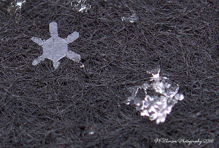 Snowflakes #6 12-14-2016.jpg