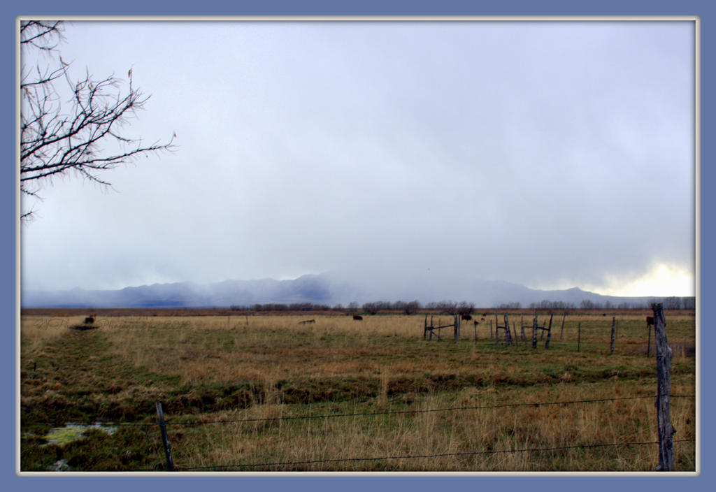 Snowing in the Distance 3-14-2016.jpg