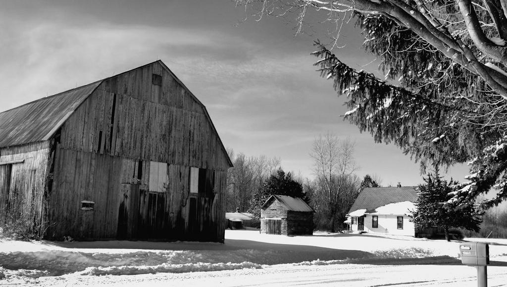 snowy farm blk n wht1200.jpg