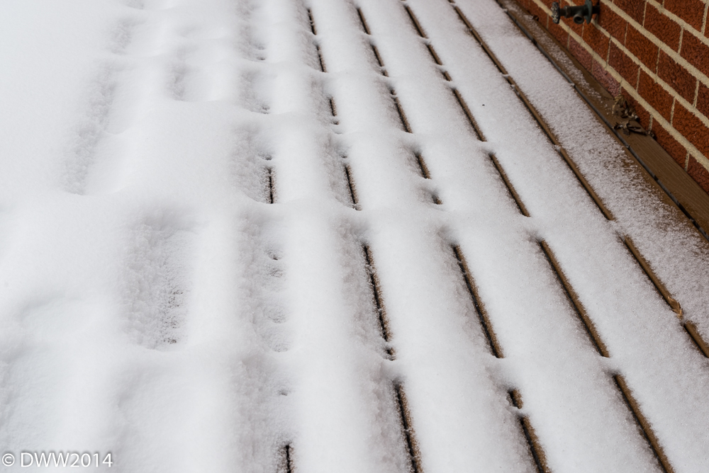 Snowy Lines.jpg
