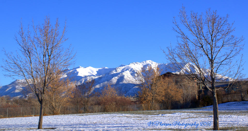 Snowy Morning Mountains 12-12-2016.jpg