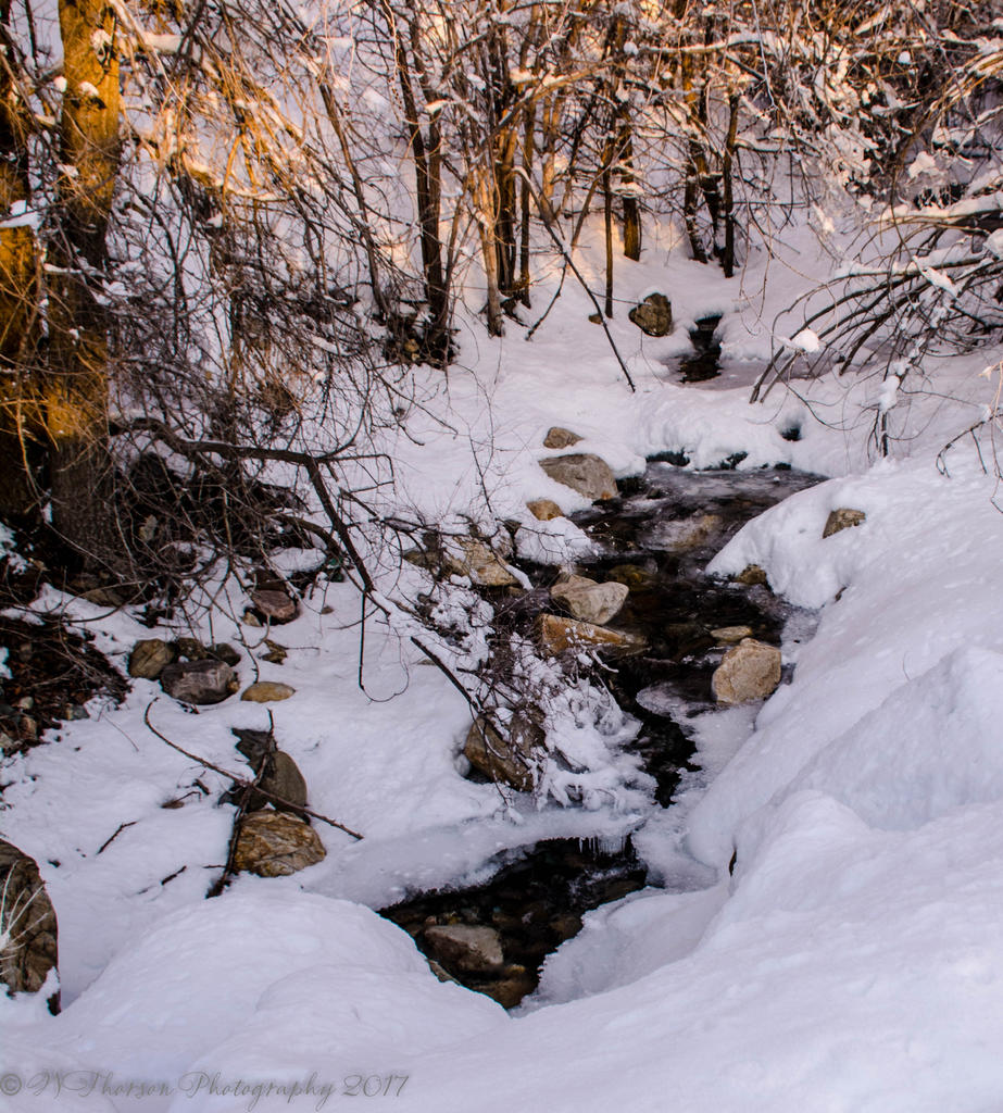 Snowy Mountain Creek 1-28-2017.jpg