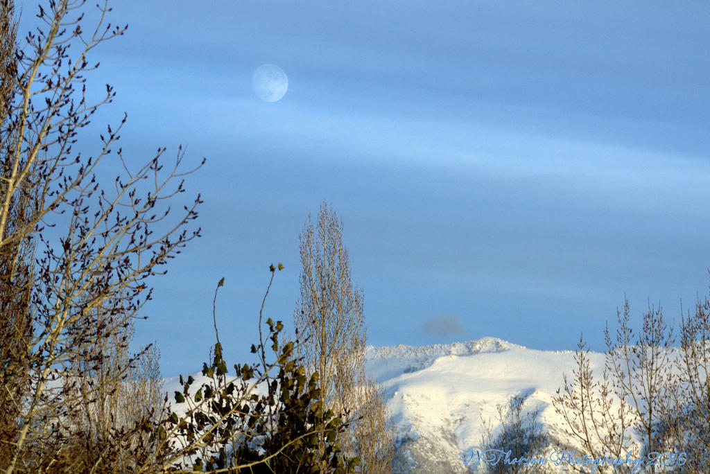 Snowy Mountain Tops #1 12-11-2016.jpg