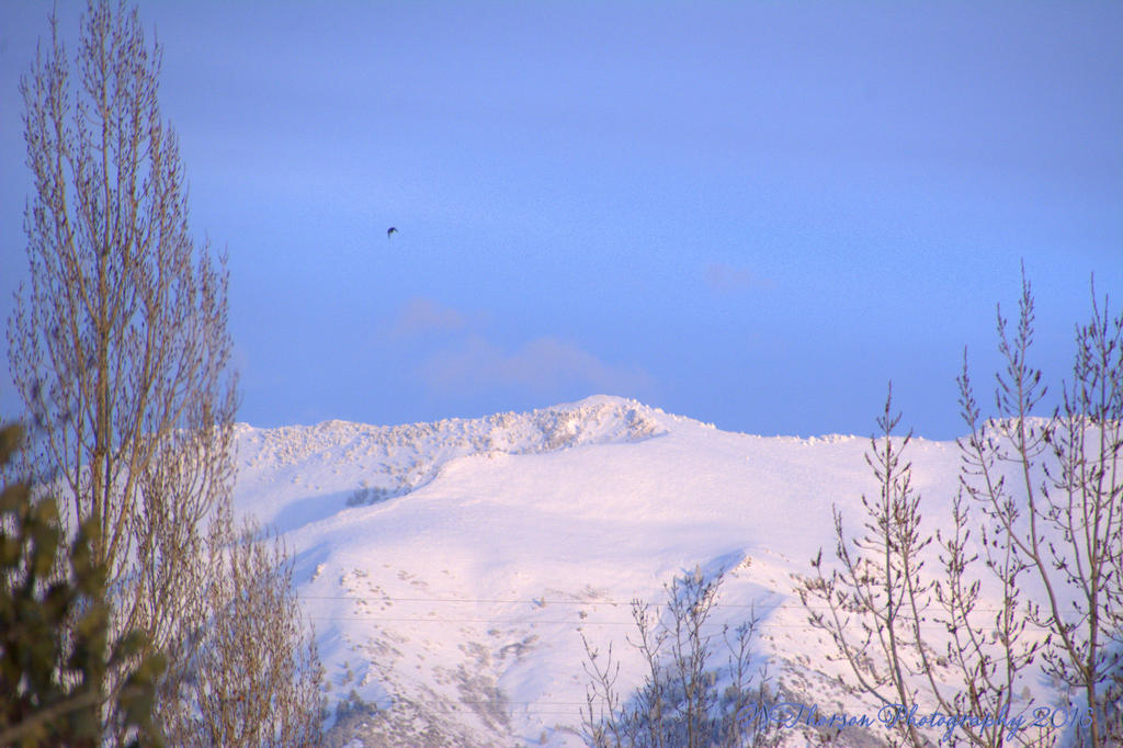 Snowy Mountain Tops #4 12-11-2016.jpg