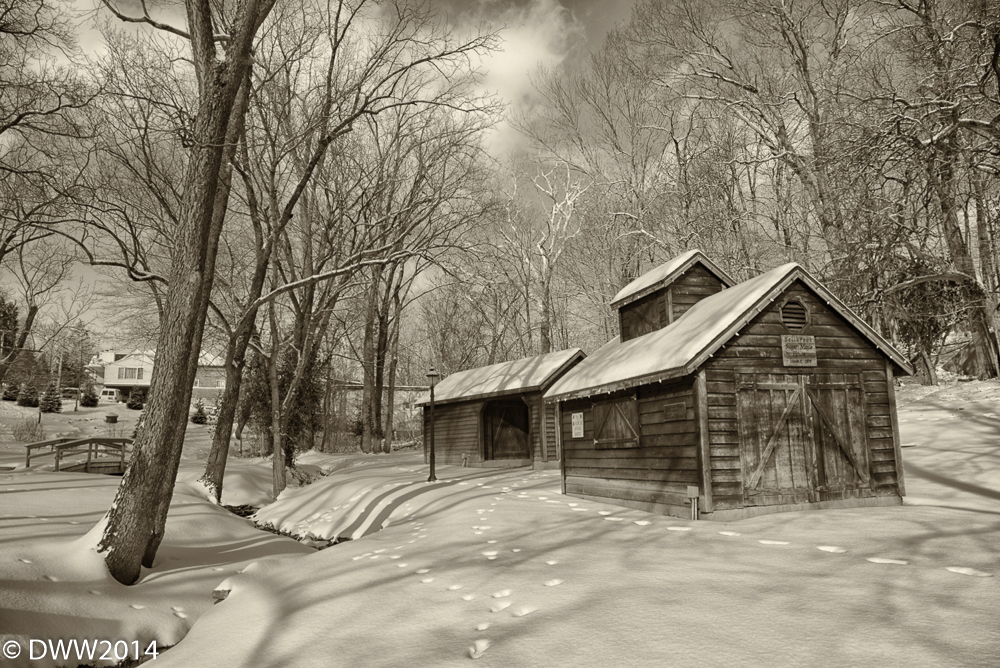 Snowy Park Sepia2.jpg