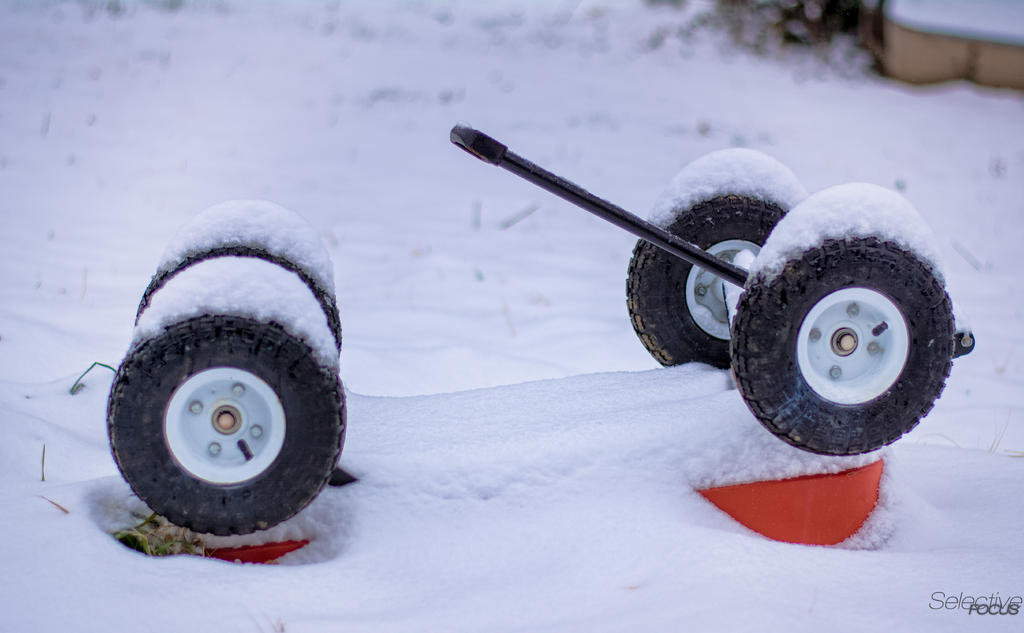 Snowy1.jpg