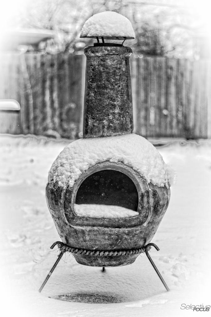 Snowy2.jpg