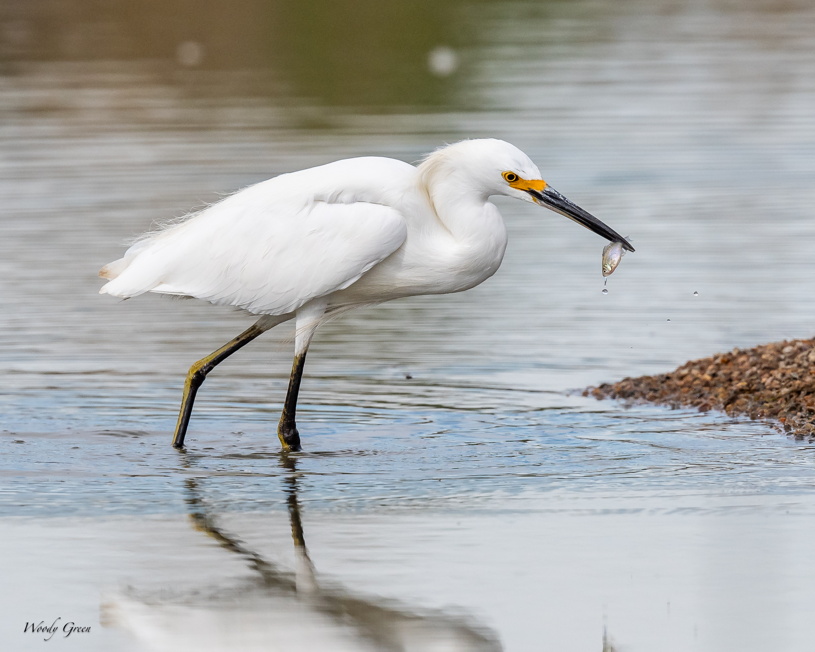 SnowyFishing-94.jpg