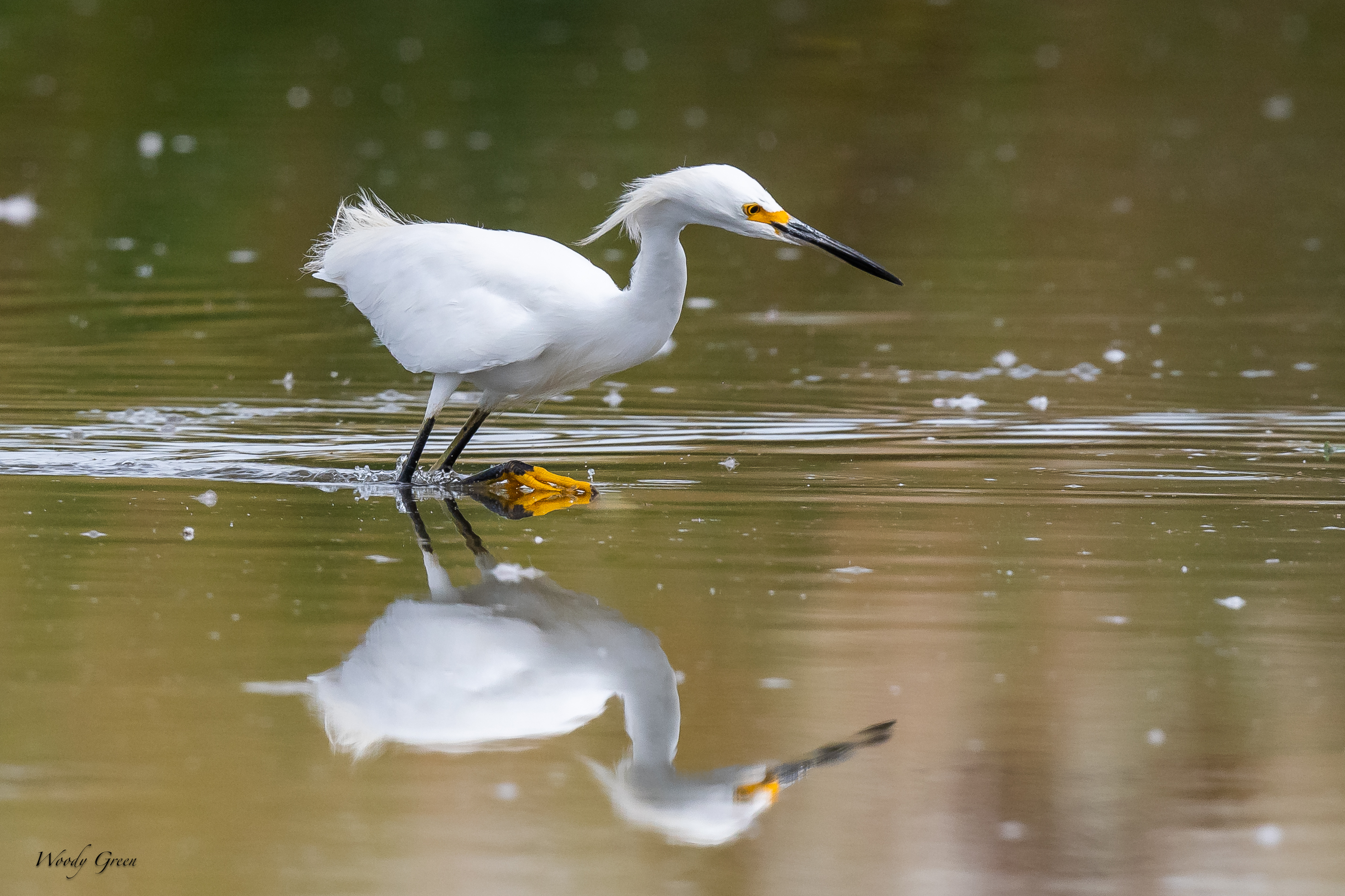 SnowyFishing-96.jpg