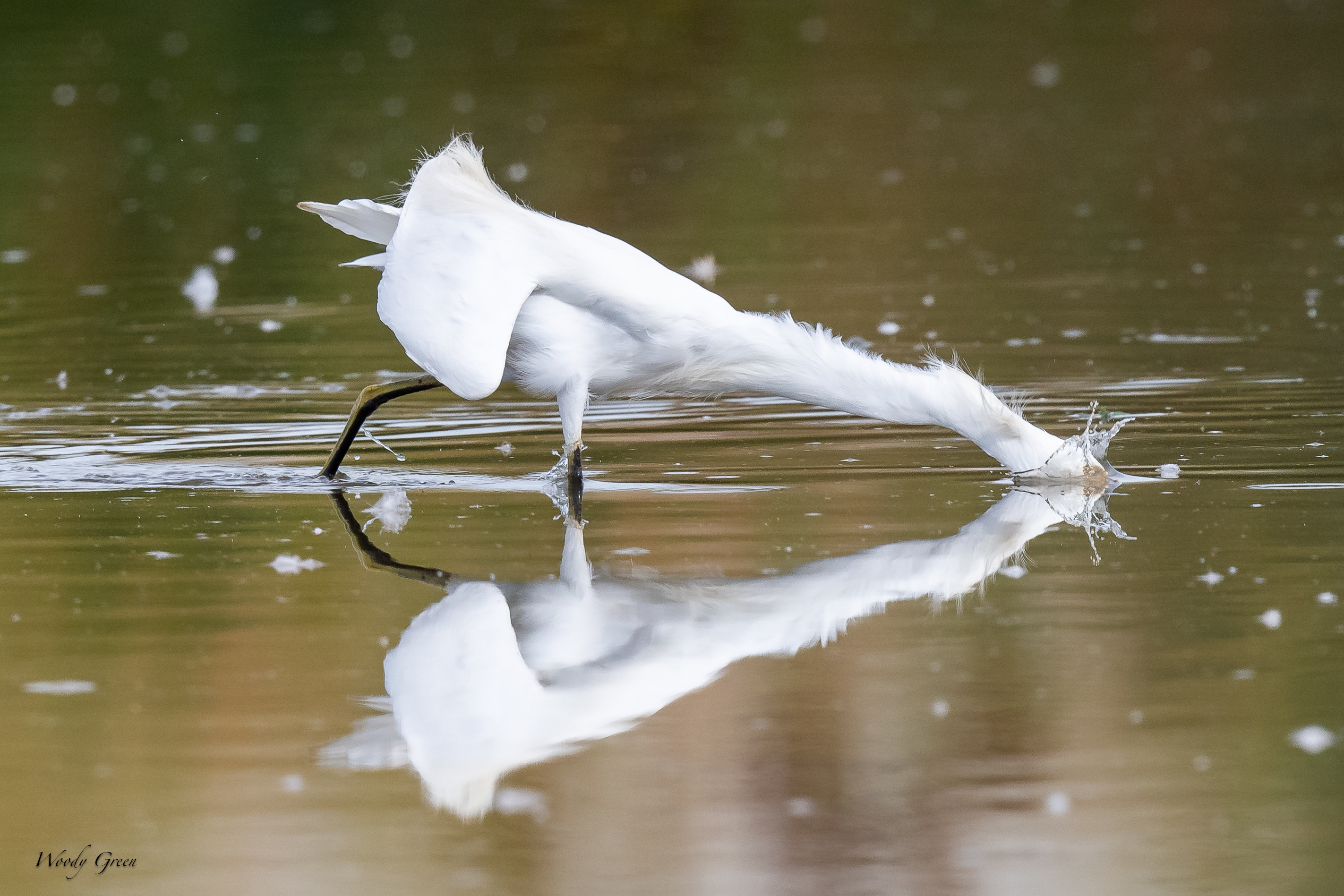 SnowyFishing-97.jpg