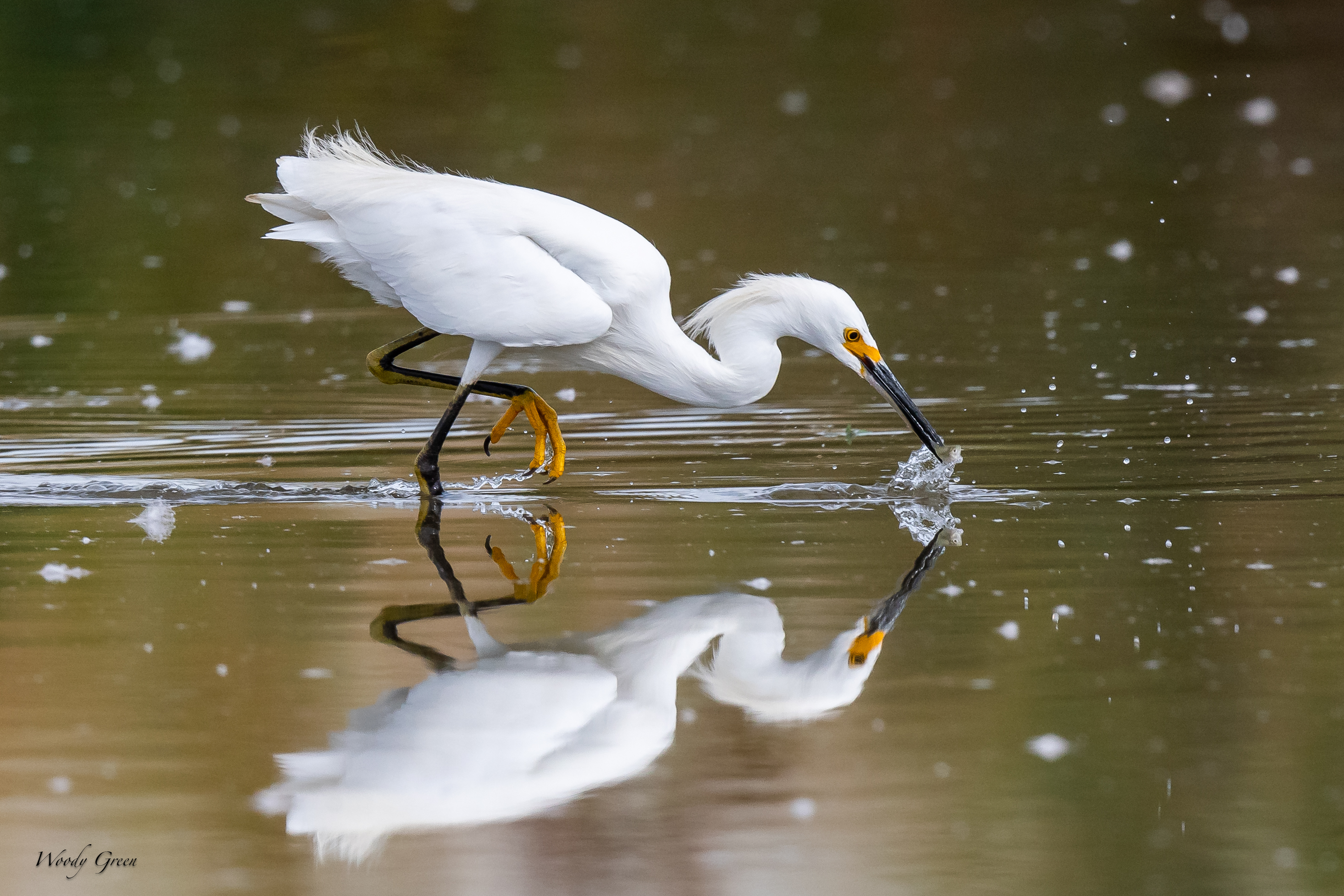 SnowyFishing-98.jpg