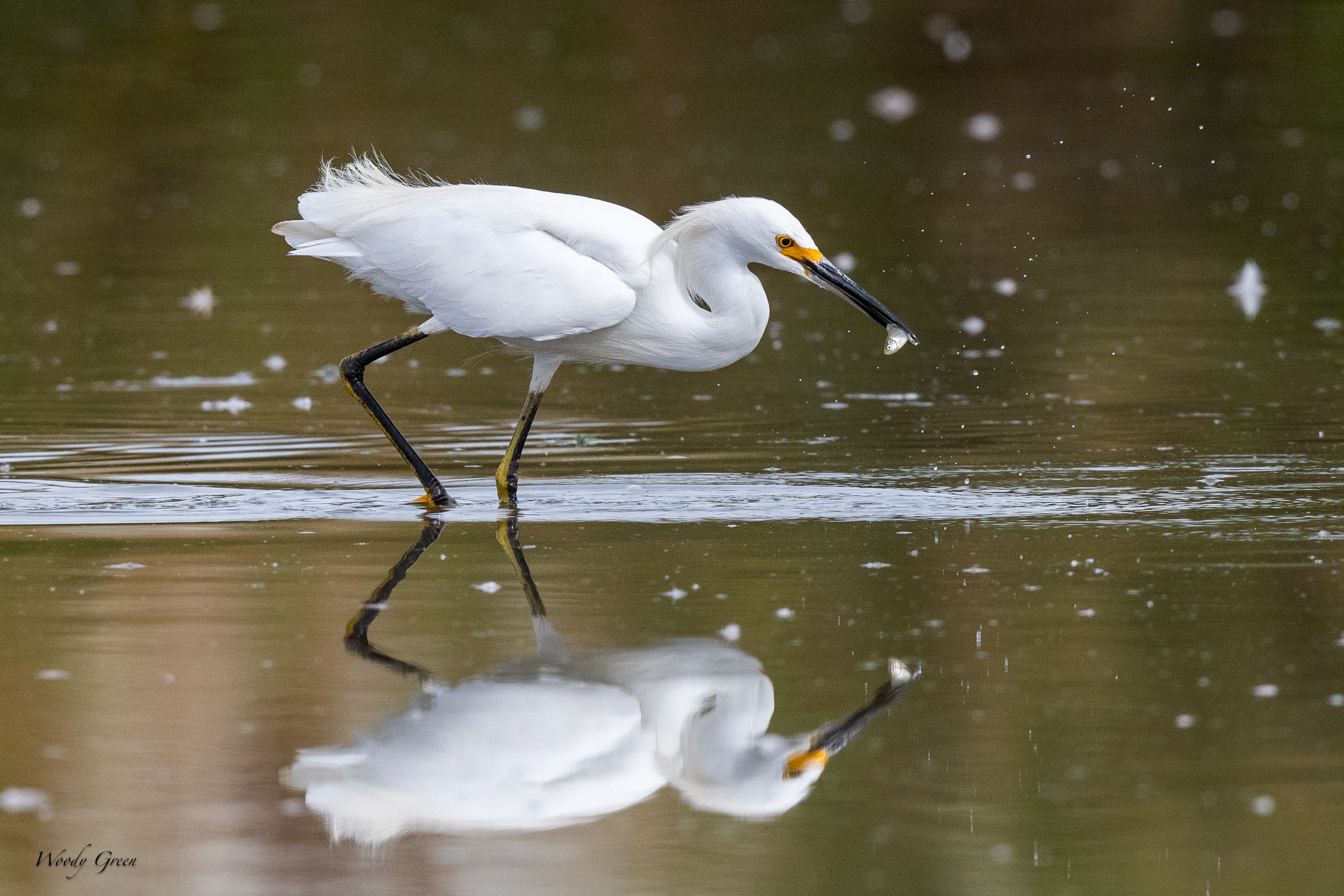 SnowyFishing-99.jpg