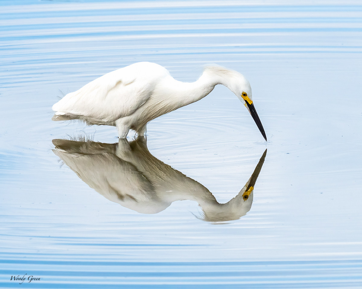 SnowyReflect-15.jpg
