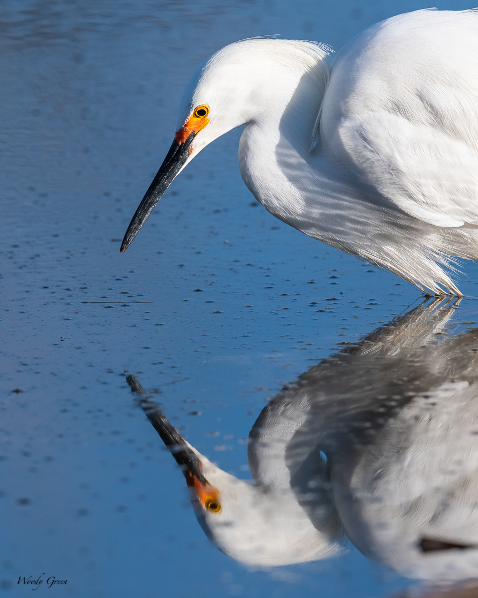 SnowyReflection-626.jpg