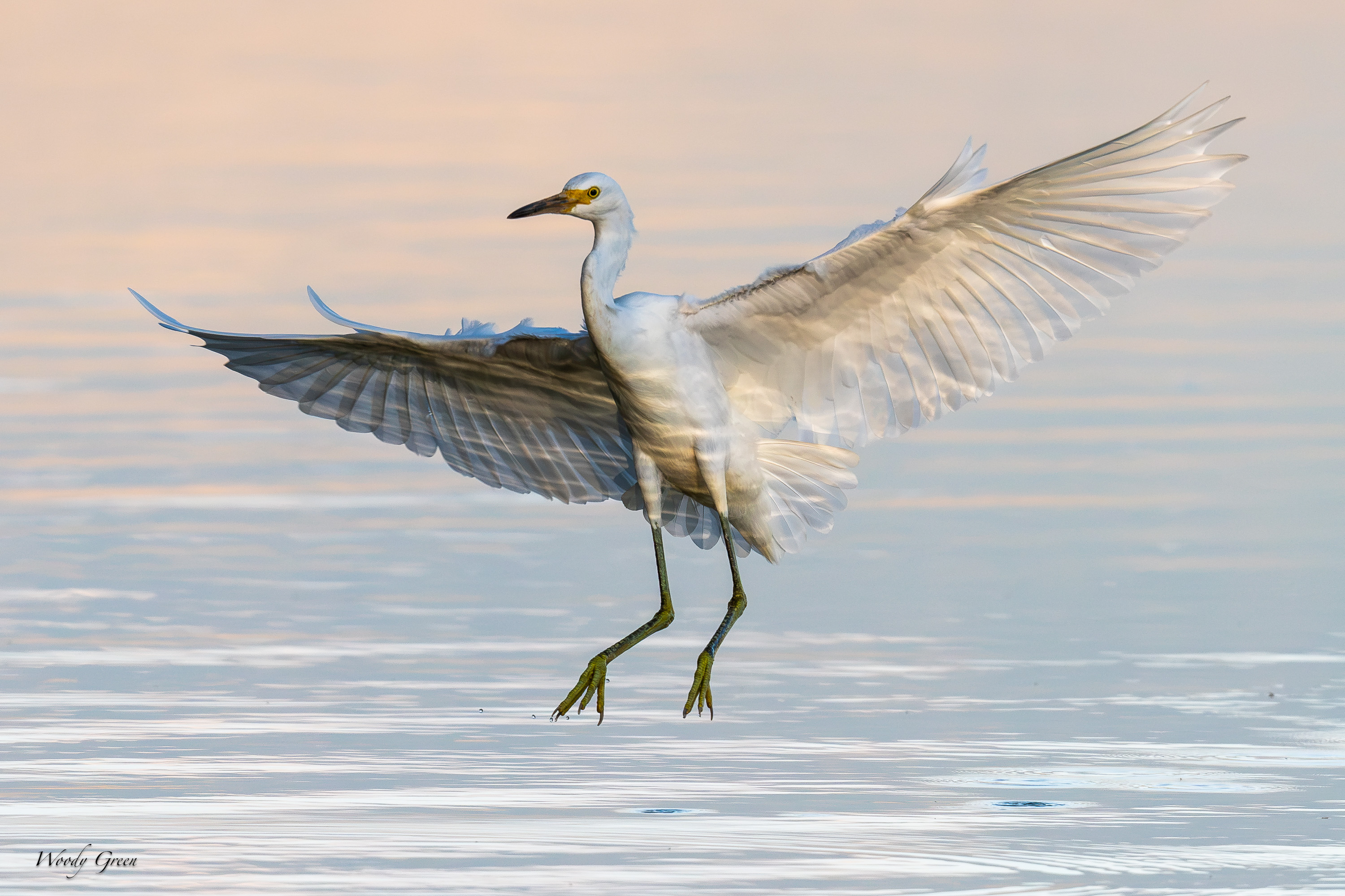 SnowySoftLight-704.jpg