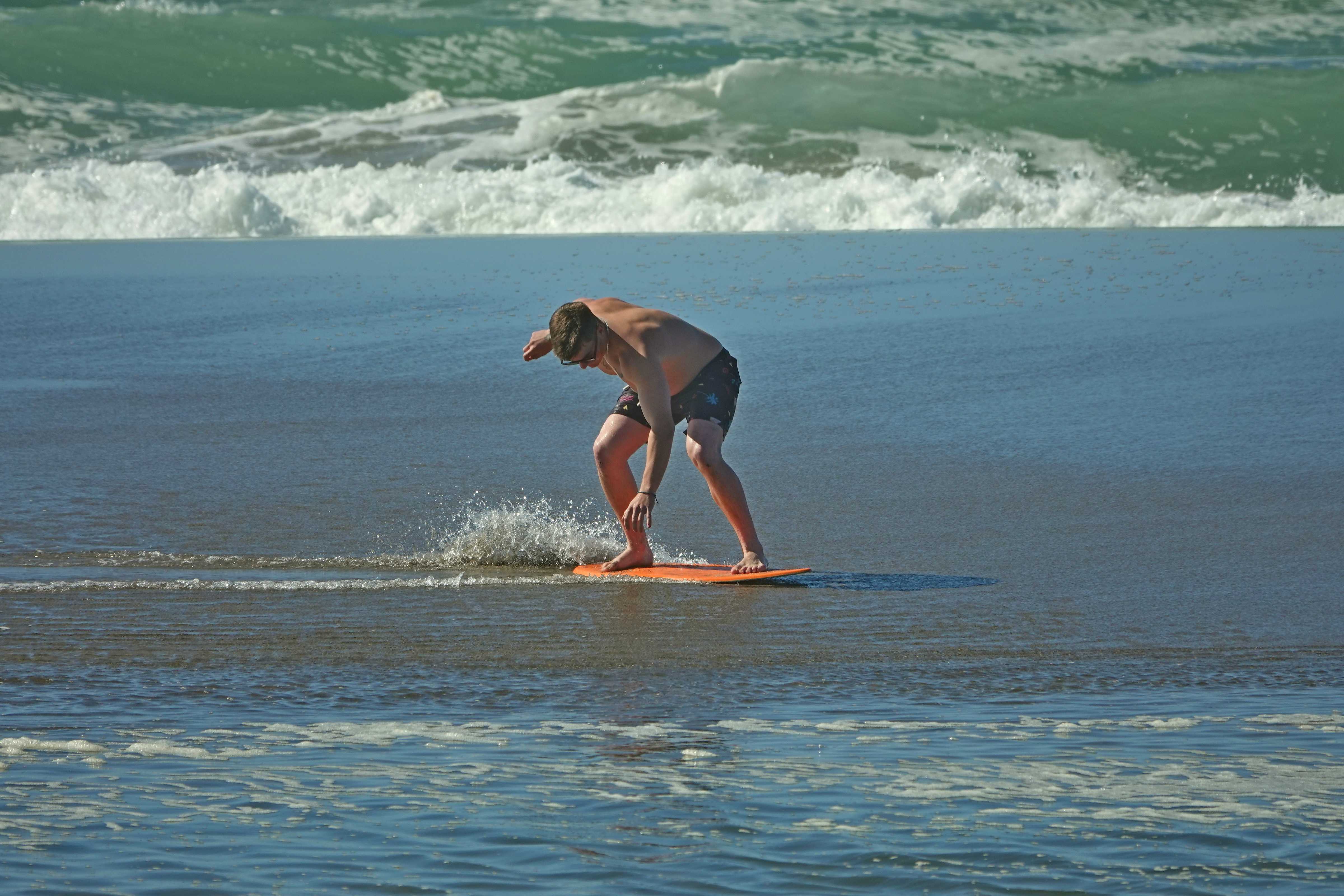 SNY00186_LCoShN_cr.jpg