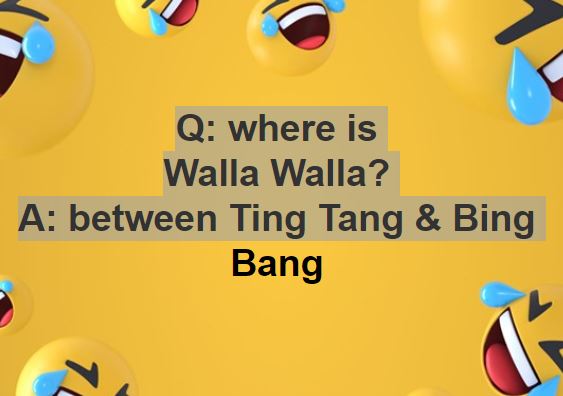 song.JPG
