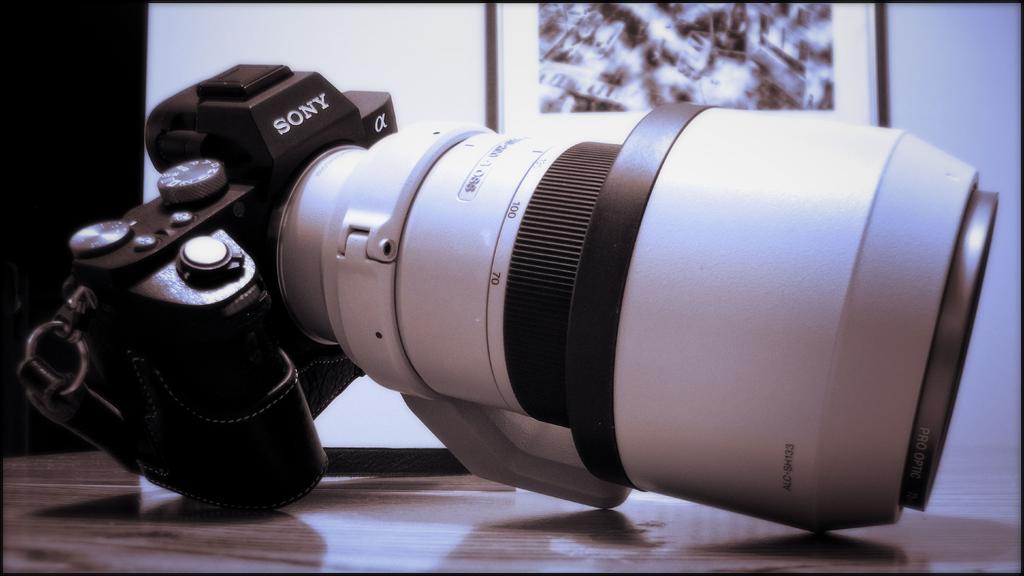 Sony A7 with 70-200-4  (2).jpg