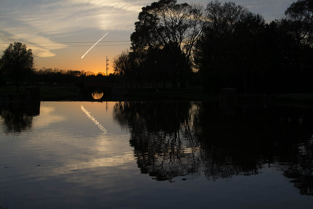 sooc.jpg