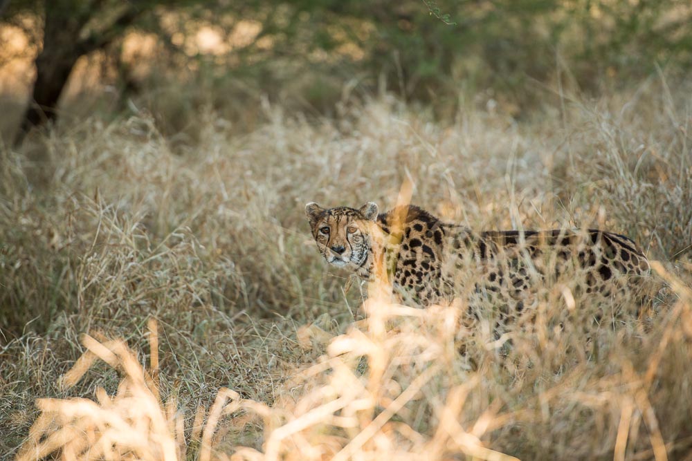 South African Adventure June 2014 (299 of 383).jpg