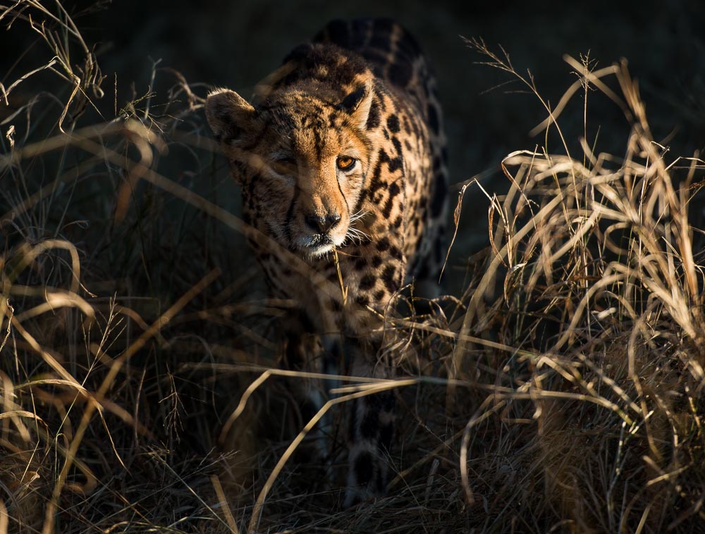 South African Adventure June 2014 (306 of 383).jpg