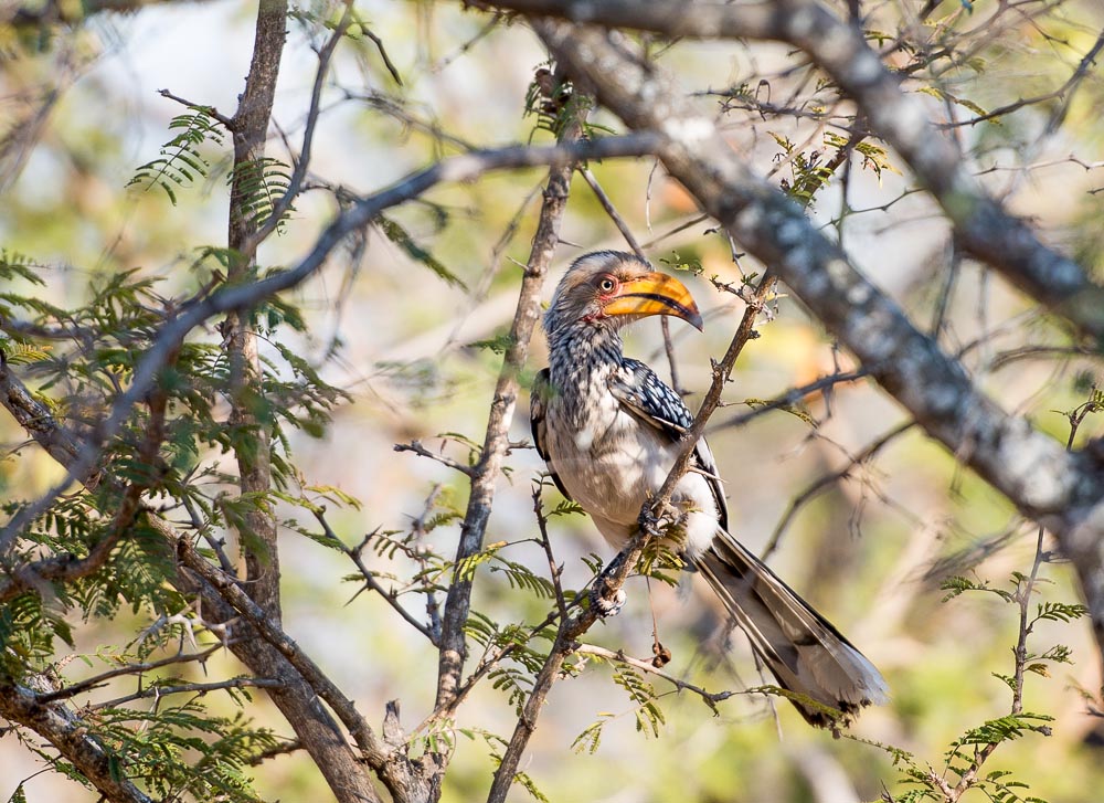 South African Adventure June 2014 (383 of 383).jpg