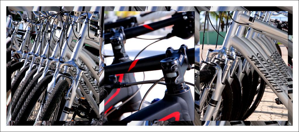 Specialized Bicycles.jpg