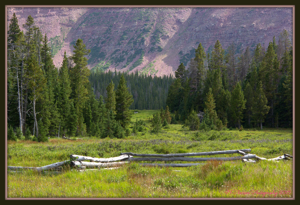 Spirit Lake 8-8-15.jpg