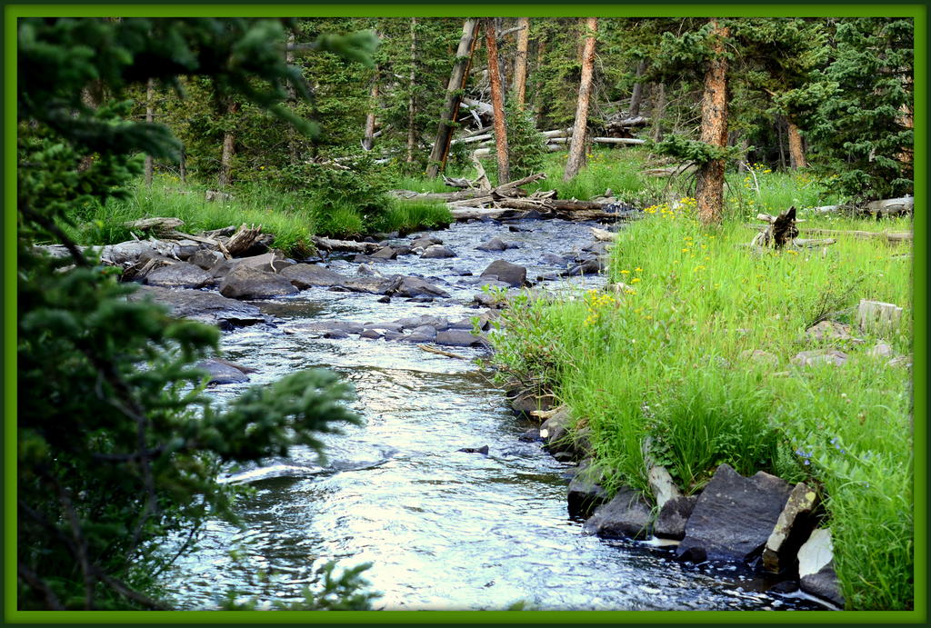 Spirit Lake Stream.jpg