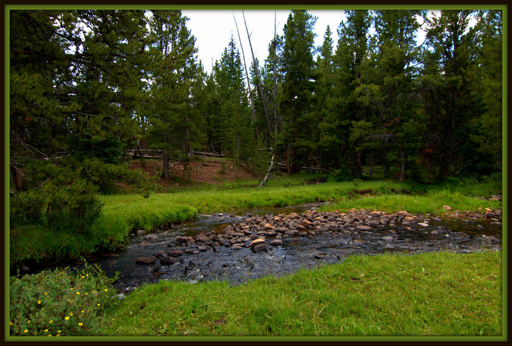 Spirit Lake Stream, Meadow, and Forest.jpg
