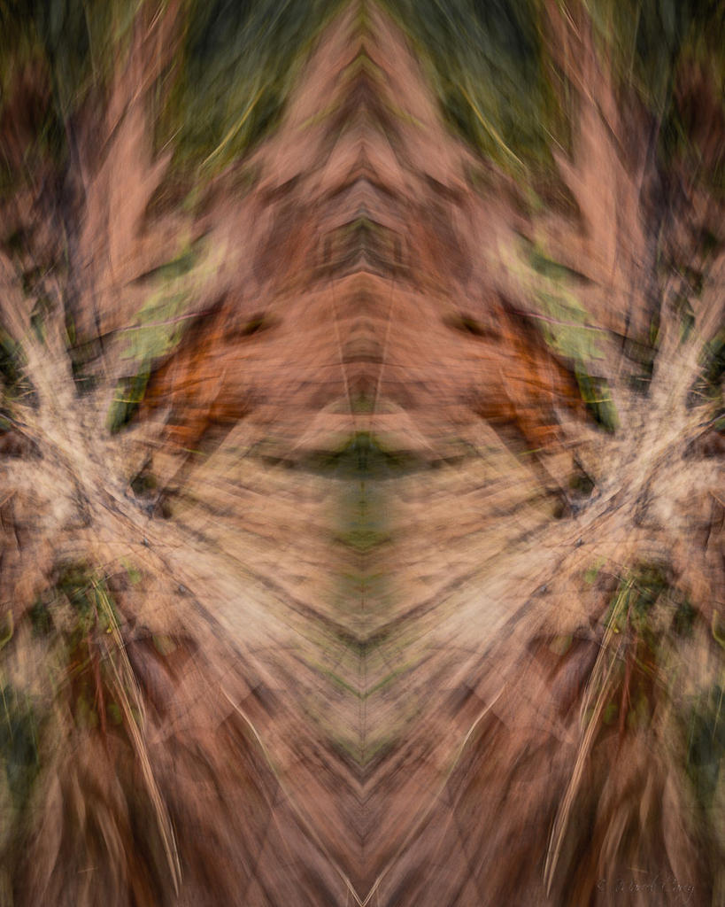 Spooky - Marcel.jpg Spooky - Marcel.jpg