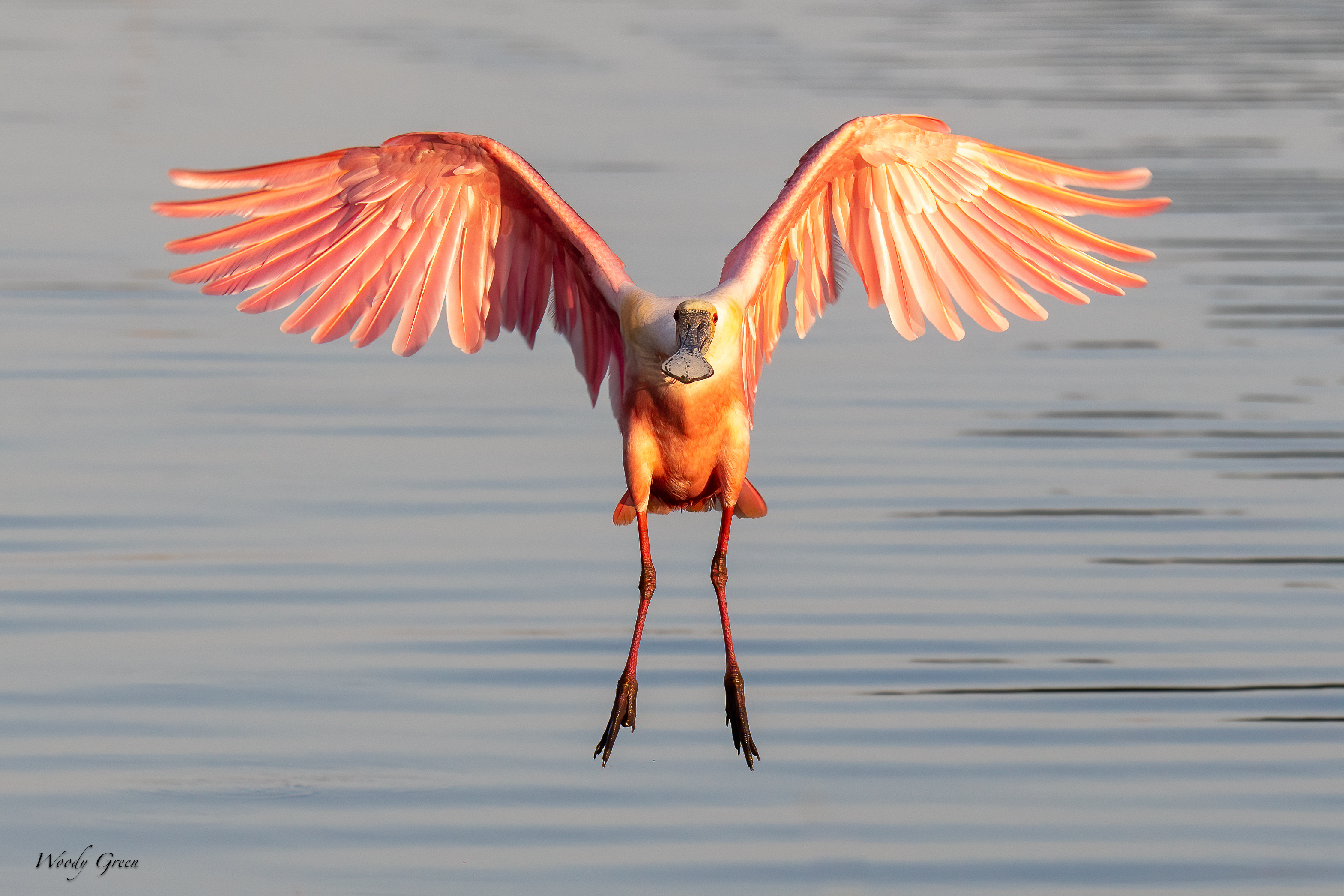 SpoonyLanding-593.jpg
