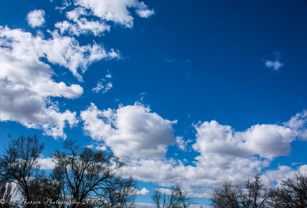 Spring Clouds 3-28-2017.jpg