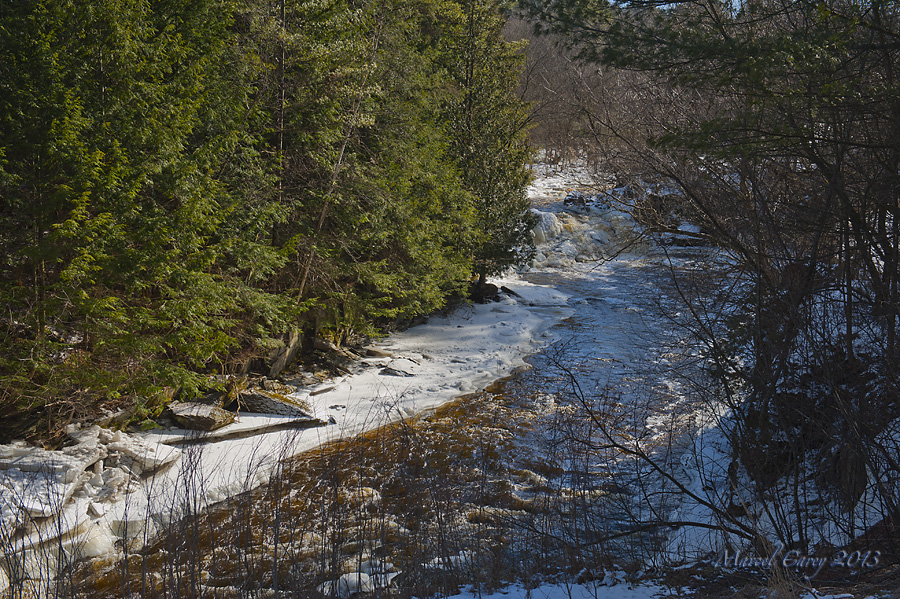 spring creek.jpg