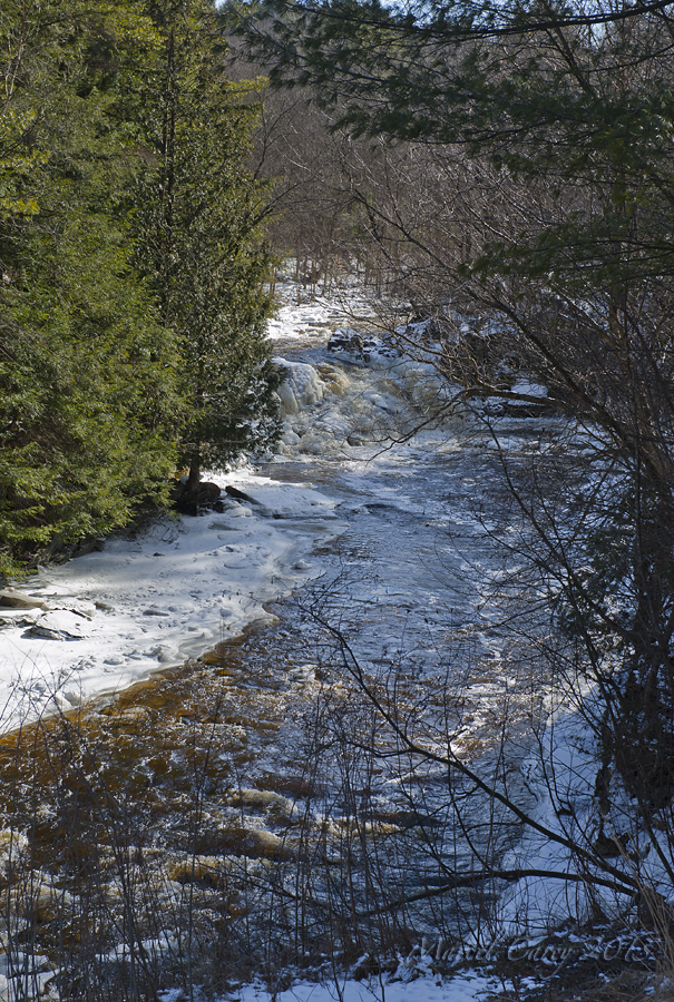 spring creek vertical.jpg