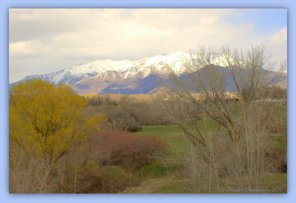 Spring in the Mountains 3-25-2016.jpg