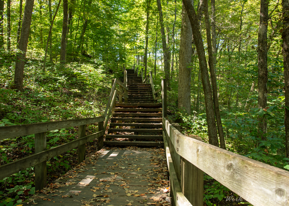 Spring Mill IN-8756.jpg