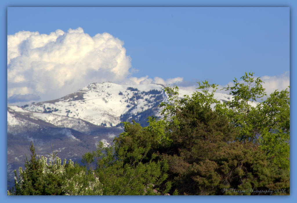 Spring Mountain 4-12-2016.jpg