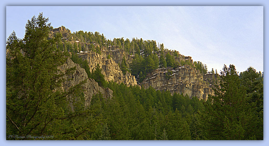 Springtime in Ogden Canyon 3-27-2016.jpg