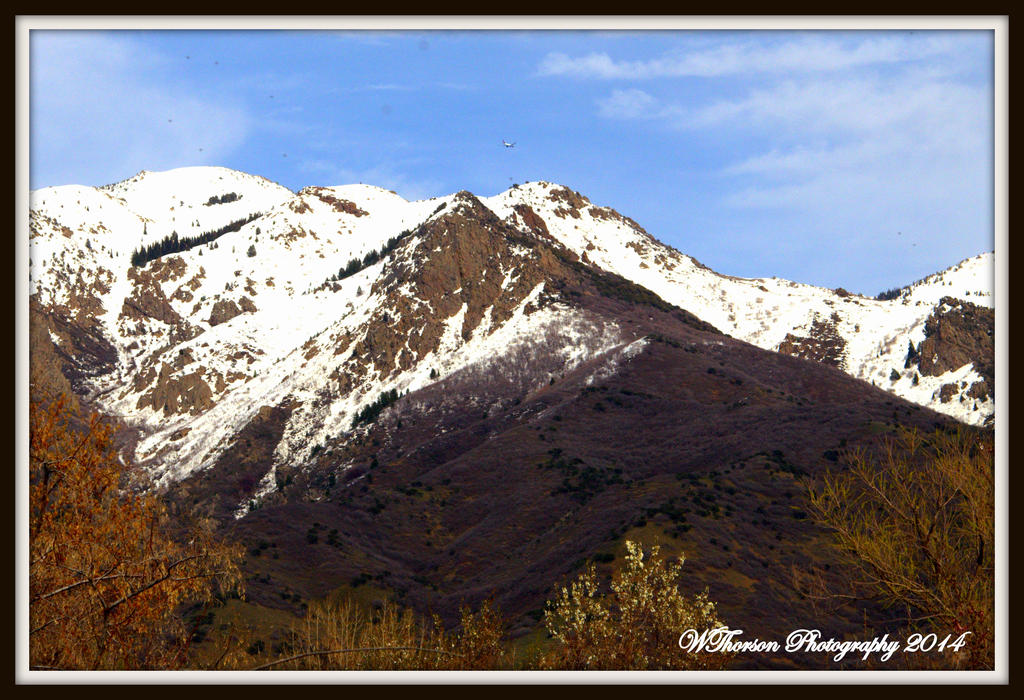Springtime in the Rockies.jpg