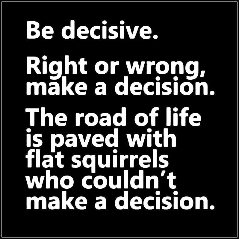 squirrel.jpg