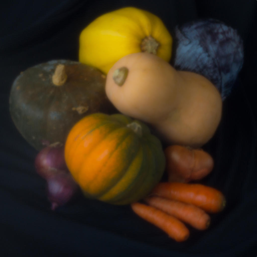 sténopé automne2 - copie.jpg