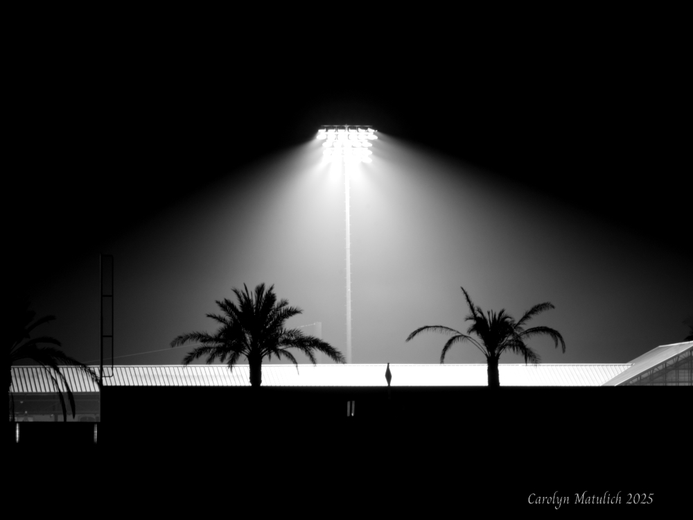 Stadium LE 01042025 500_1172.jpg