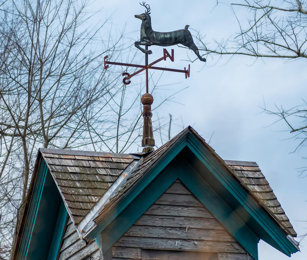 Stag Vane (1 of 1).jpg