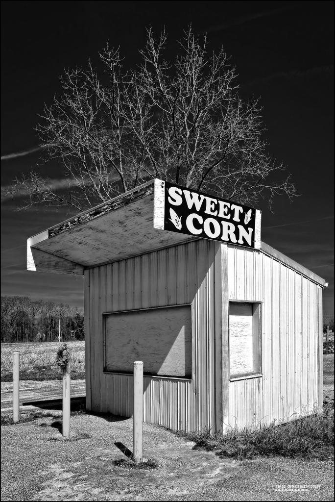 State Road Sweet Corn 2014 BW.jpg
